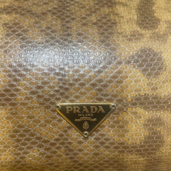 Prada Embossed Python Shoulder Bag - Picture 11 of 13
